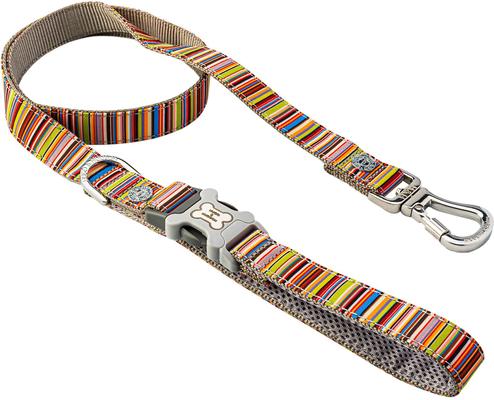Show full view: HUGO & HUDSON Stripe Printed Dog Leash, Multi-colored, Medium/Large slide 1 of 9