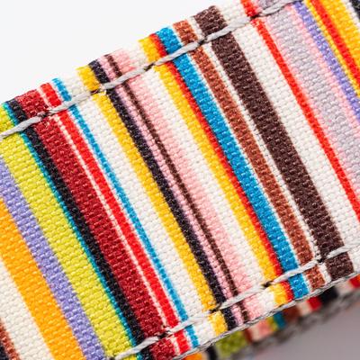 Show full view: HUGO & HUDSON Stripe Printed Dog Leash, Multi-colored, Medium/Large slide 4 of 9