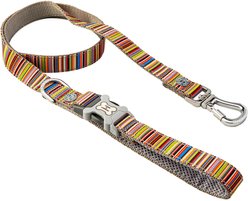 HUGO & HUDSON Stripe Printed Dog Leash, Multi-colored, X-Small/Small