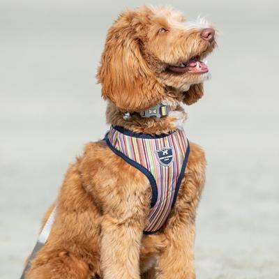 Show full view: HUGO & HUDSON Striped Printed Dog Harness, Multi Coloured Stripe, X-Small slide 2 of 9