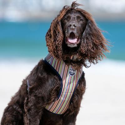 Show full view: HUGO & HUDSON Striped Printed Dog Harness, Multi Coloured Stripe, X-Small slide 8 of 9