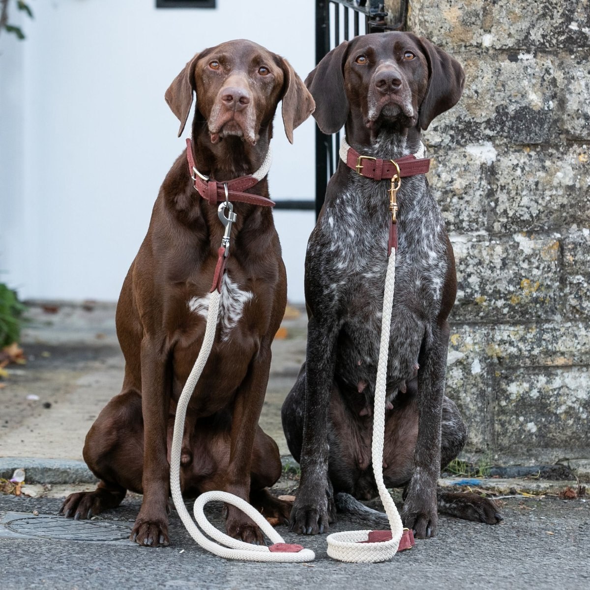 HUGO & HUDSON Suede Leather Dog Leash