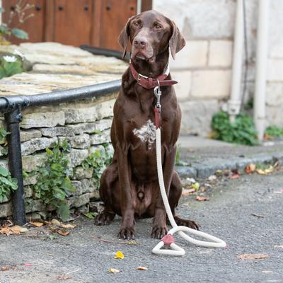 Show full view: HUGO & HUDSON Suede Leather Dog Leash, Brown, 70.8-in slide 2 of 7
