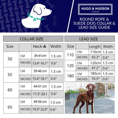 Show full view: HUGO & HUDSON Suede Leather Dog Leash, Burgundy, 70.8-in slide 3 of 7