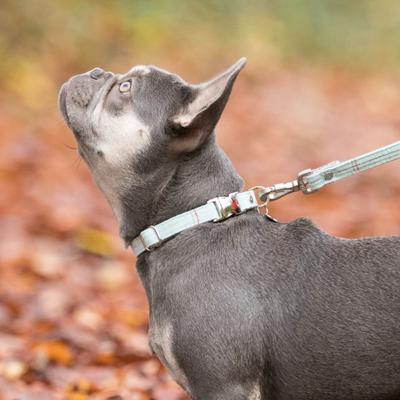 Show full view: HUGO & HUDSON Tweed Metal Buckle Dog Collar, Aqua, Large slide 7 of 10