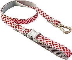 HUGO & HUDSON Watermelon Printed Dog Leash, Pink, Medium/Large