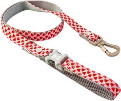 HUGO & HUDSON Watermelon Printed Dog Leash, Pink, X-Small/Small