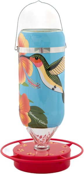 Hummer's Galore Hibiscus Design Hummingbird Feeder, Teal