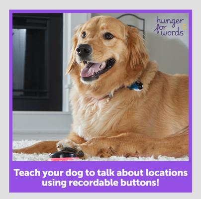 Show full view: Hunger for Words Talking Pet Next Words: Locations Dog Toy slide 3 of 7