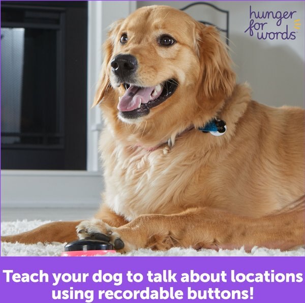 Hunger for Words Talking Pet Next Words: Locations Dog Toy