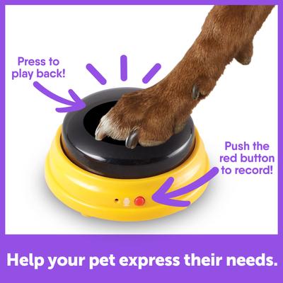 Show full view: Hunger for Words Talking Pet Next Words: Names Dog Toy slide 4 of 6