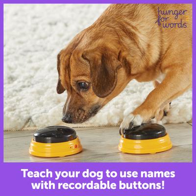 Show full view: Hunger for Words Talking Pet Next Words: Names Dog Toy slide 5 of 6