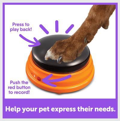 Show full view: Hunger for Words Talking Pet Starter Set Dog Toy, 4-pack slide 3 of 8