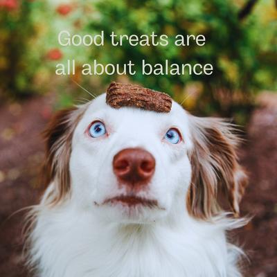 Show full view: Huntaway Wild Venison Jerky Dog Treats, 4-oz bag slide 8 of 10