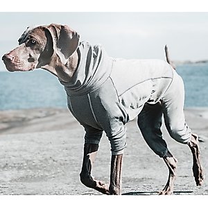 HURTTA Extreme Overall Insulated Dog Snowsuit, Blackberry