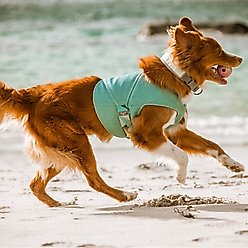 Hurtta Cooling Dog Wrap, Aquamarine, 26-30-in slide 2 of 5