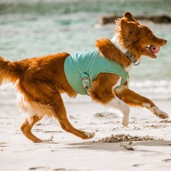 Hurtta Cooling Dog Wrap, Aquamarine, 30-34-in slide 2 of 5