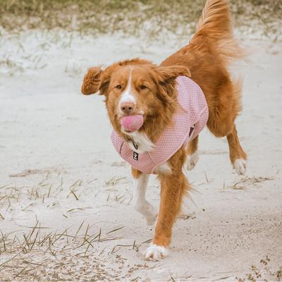 Show full view: Hurtta Cooling Dog Wrap, Carnation Pink, 18-22-in slide 3 of 8