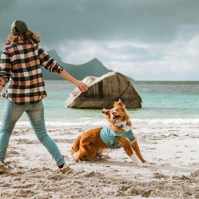 Hurtta Cooling Dog Wrap, Turmeric