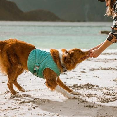 Show full view: Hurtta Cooling Dog Wrap, Turmeric, 22-26-in slide 4 of 8