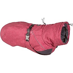 Hurtta Expedition Insulated Dog Parka, Beetroot, 12-in