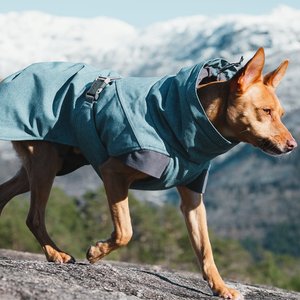 Hurtta Expedition Insulated Dog Parka, Bilberry, 8-in