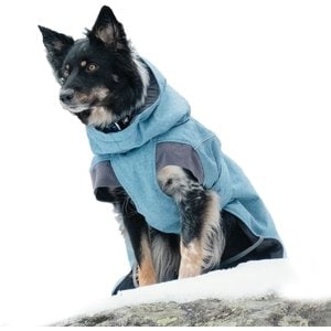 Hurtta Expedition Insulated Dog Parka, Bilberry, 8-in