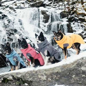 Hurtta Expedition Insulated Dog Parka, Blackberry, 12-in