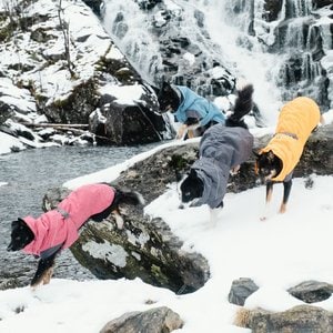 Hurtta Expedition Insulated Dog Parka, Blackberry, 16-in
