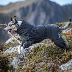 Hurtta Extreme Overall Insulated Dog Snowsuit, Blackberry, 20M slide 2 of 6