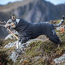 Hurtta Extreme Overall Insulated Dog Snowsuit, Blackberry, 26M slide 2 of 6