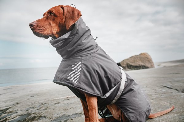Hurtta Extreme Warmer Insulated Dog Parka