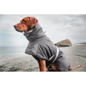 Hurtta Extreme Warmer Insulated Dog Parka, Blackberry, 20-in