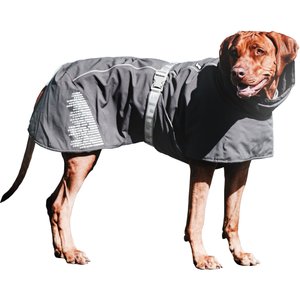 Hurtta Extreme Warmer Insulated Dog Parka, Blackberry, 24-in