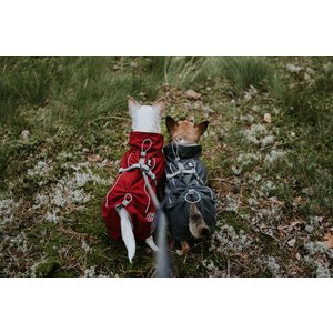 Hurtta Extreme Warmer Insulated Dog Parka, Lingon, 18-in