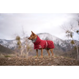 Hurtta Extreme Warmer Insulated Dog Parka, Lingon, 18-in