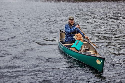 Show full view: Hurtta Life Savior ECO Dog & Cat Life Jacket, Peacock, 44-66 lbs slide 4 of 6