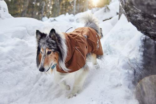 Show full view: Hurtta Monsoon II ECO Dog Raincoat, Desert, 10-in slide 3 of 7