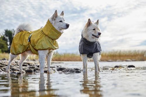 Show full view: Hurtta Mudventure Reflective Dog Coat, Turmeric, 20-in slide 7 of 10