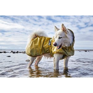 Hurtta Mudventure Reflective Dog Coat, Turmeric, 22-in