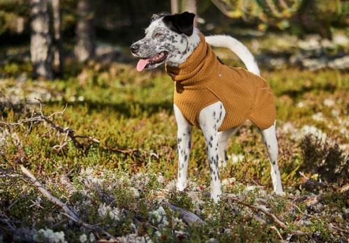 Show full view: Hurtta Razzle-Dazzle Midlayer Reversible Dog Coat, 10-in, Brown slide 7 of 9
