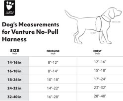 Hurtta Venture No-Pull Dog Harness, Buckthorn, 18-24-in slide 2 of 5