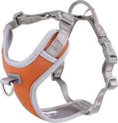 Hurtta Venture No-Pull Dog Harness, Buckthorn, 32-40-in