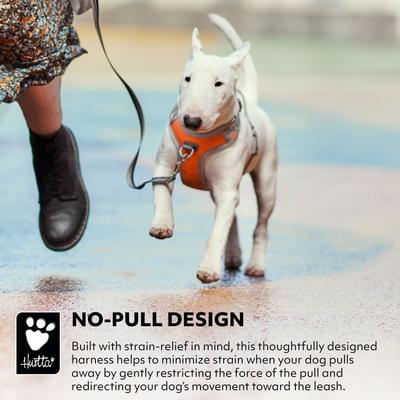 Show full view: Hurtta Venture No-Pull Dog Harness, Buckthorn, 32-40-in slide 4 of 6