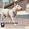Show in main carousel: Hurtta Venture No-Pull Dog Harness, Shadow, 32-40-in slide 5 of 6