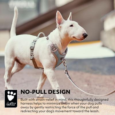 Show full view: Hurtta Venture No-Pull Dog Harness, Shadow, 32-40-in slide 5 of 6