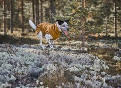 Hurtta Warming Midlayer ECO Dog Coat, Desert, 18-in slide 2 of 2