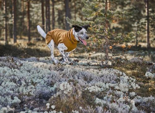 Show full view: Hurtta Warming Midlayer ECO Dog Coat, Desert, 18-in slide 2 of 3