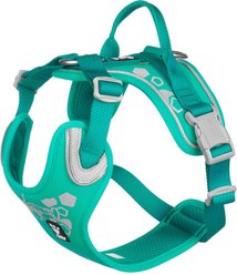 Hurtta Weekend Warrior Dog & Cat Harness, Peacock, 32 to 39-in chest