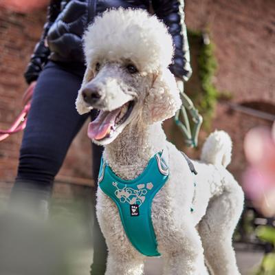 Show full view: Hurtta Weekend Warrior Dog & Cat Harness, Peacock, 32 to 39-in chest slide 8 of 8